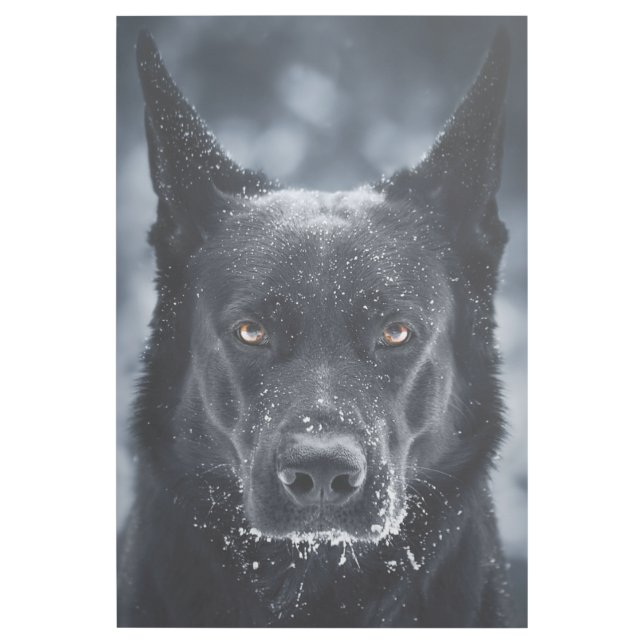 Black German Shepherd Gallery Wrap (Front)