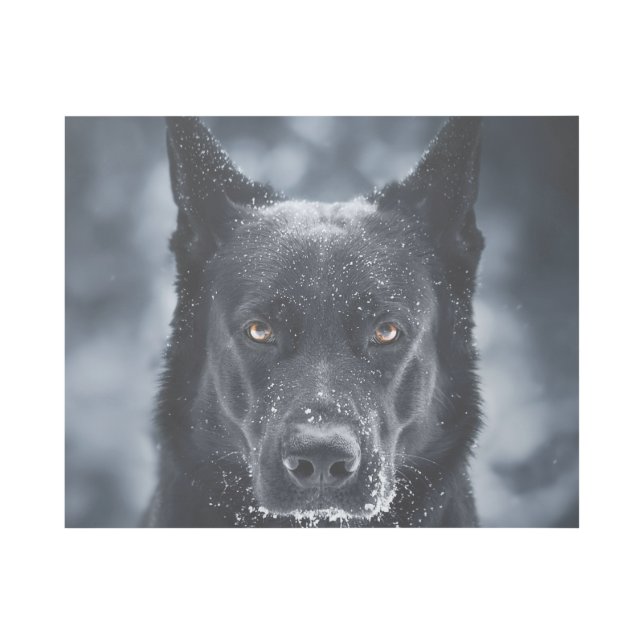 Black German Shepherd Gallery Wrap (Front)