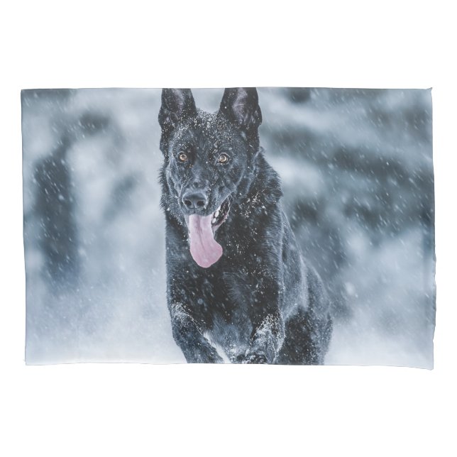 Black German Shepherd in snow Duvet Cover (Front)
