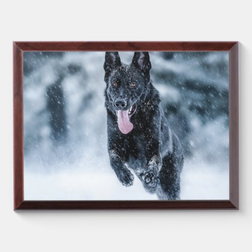 Black German Shepherd in snow Duvet Cover Award Plaque