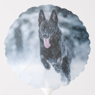 Black German Shepherd in snow Duvet Cover Balloon