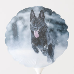 Black German Shepherd in snow Duvet Cover Balloon