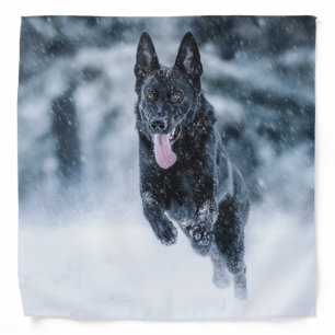 Black German Shepherd in snow Duvet Cover Bandana