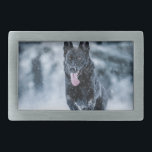 Black German Shepherd in snow Duvet Cover Belt Buckle<br><div class="desc">Black German Shepherd in snow</div>