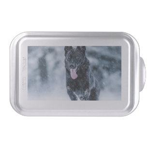 Black German Shepherd in snow Duvet Cover Cake Pan