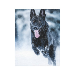Black German Shepherd in snow Duvet Cover Canvas Print