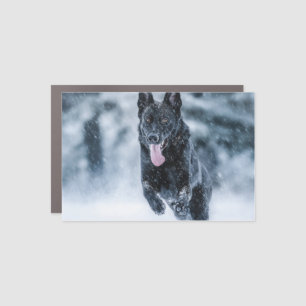 Black German Shepherd in snow Duvet Cover Car Magnet