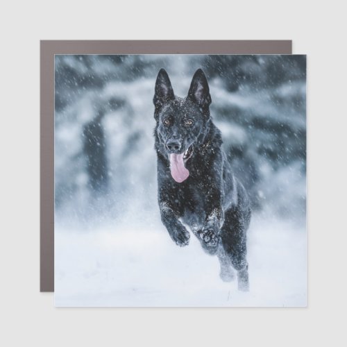 Black German Shepherd in snow Duvet Cover Car Magnet