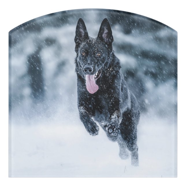 Black German Shepherd in snow Duvet Cover Door Sign (Contour Front)