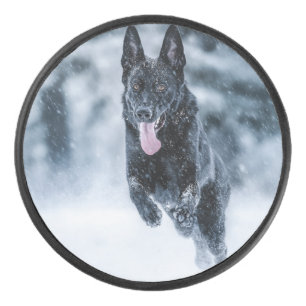 Black German Shepherd in snow Duvet Cover Hockey Puck
