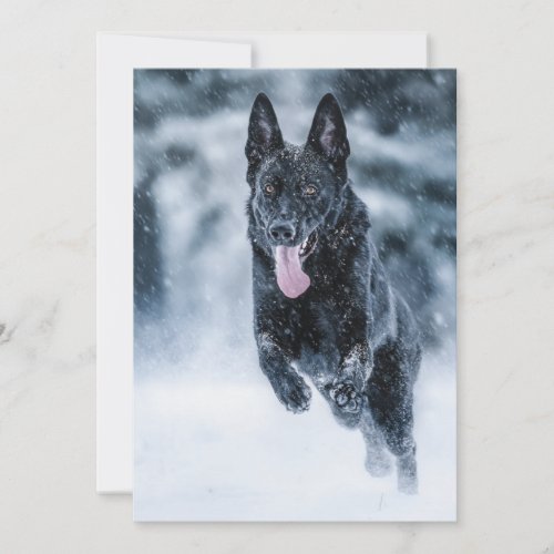 Black German Shepherd in snow Duvet Cover Holiday Card