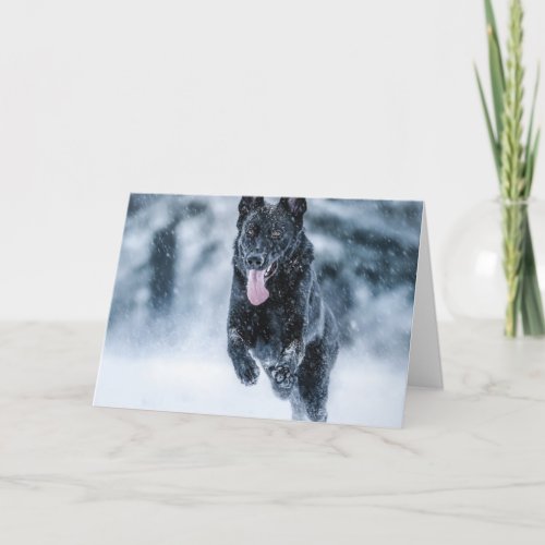 Black German Shepherd in snow Duvet Cover Holiday Card