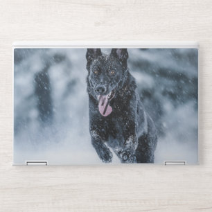 Black German Shepherd in snow Duvet Cover HP Laptop Skin