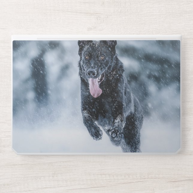 Black German Shepherd in snow Duvet Cover HP Laptop Skin (Front)