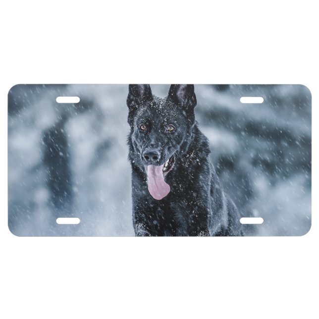 Black German Shepherd in snow Duvet Cover License Plate (Front)