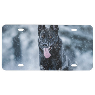 Black German Shepherd in snow Duvet Cover License Plate