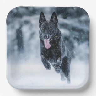 Black German Shepherd in snow Duvet Cover Paper Pl Plates
