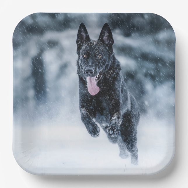 Black German Shepherd in snow Duvet Cover Paper Pl Plates (Front)