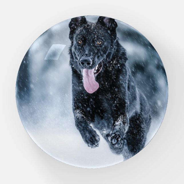 Black German Shepherd in snow Duvet Cover Paperweight (Front)