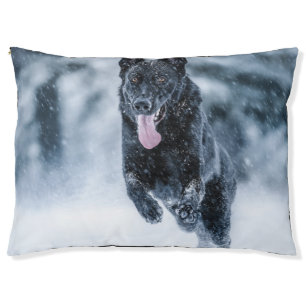 Black German Shepherd in snow Duvet Cover Pet Bed