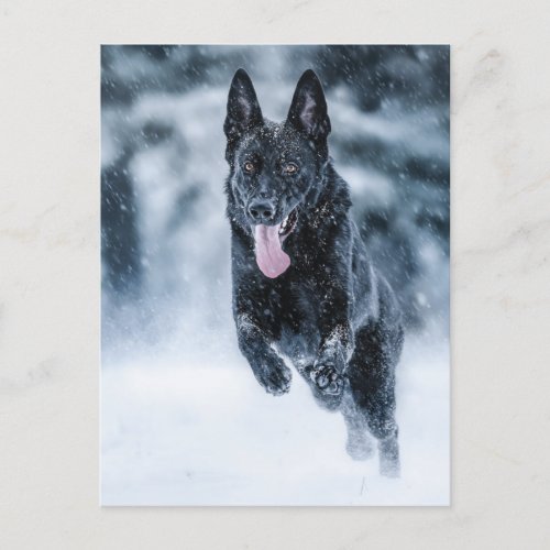 Black German Shepherd in snow Duvet Cover Postcard