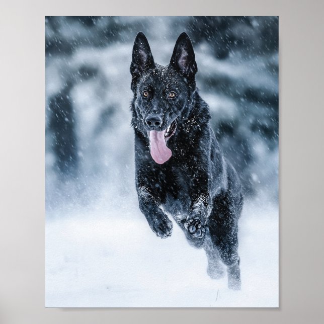 Black German Shepherd in snow Duvet Cover Poster (Front)