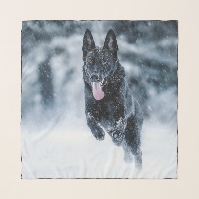 Black German Shepherd in snow Duvet Cover Scarf (Front)