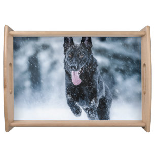 Black German Shepherd in snow Duvet Cover Serving Tray