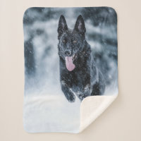 Black German Shepherd in snow Duvet Cover