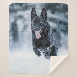 Black German Shepherd in snow Duvet Cover Sherpa Blanket
