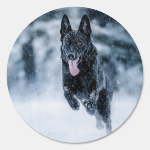 Black German Shepherd in snow Duvet Cover Sign