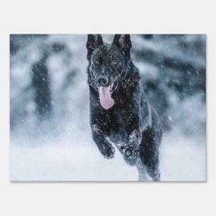 Black German Shepherd in snow Duvet Cover Sign