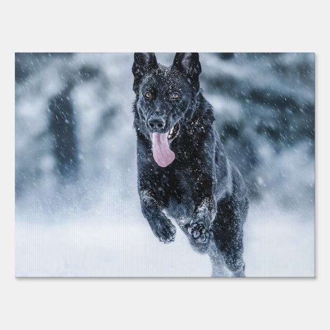 Black German Shepherd in snow Duvet Cover Sign (Front)