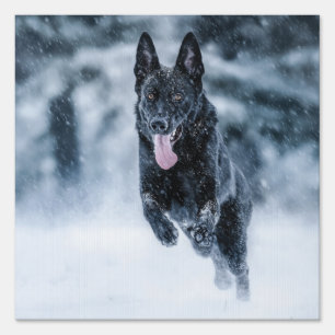 Black German Shepherd in snow Duvet Cover Sign