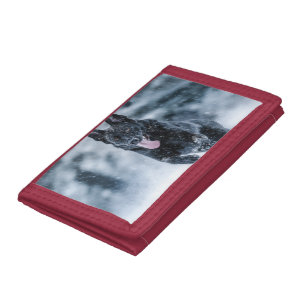 Black German Shepherd in snow Duvet Cover Trifold Wallet