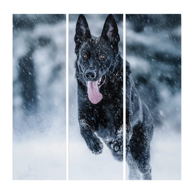 Black German Shepherd in snow Duvet Cover Triptych (Front)