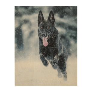 Black German Shepherd in snow Duvet Cover Wood Wall Art