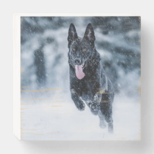 Black German Shepherd in snow Duvet Cover Wooden Box Sign