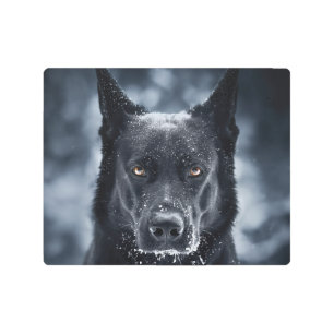 Black German Shepherd Metal Print
