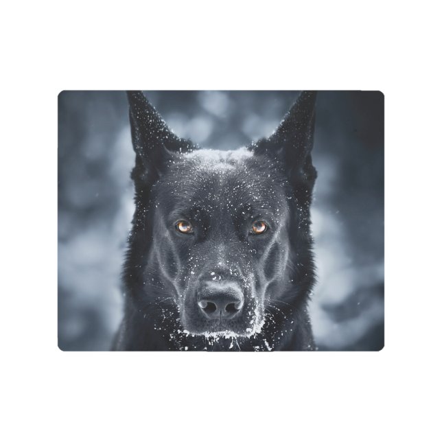 Black German Shepherd Metal Print (Front)