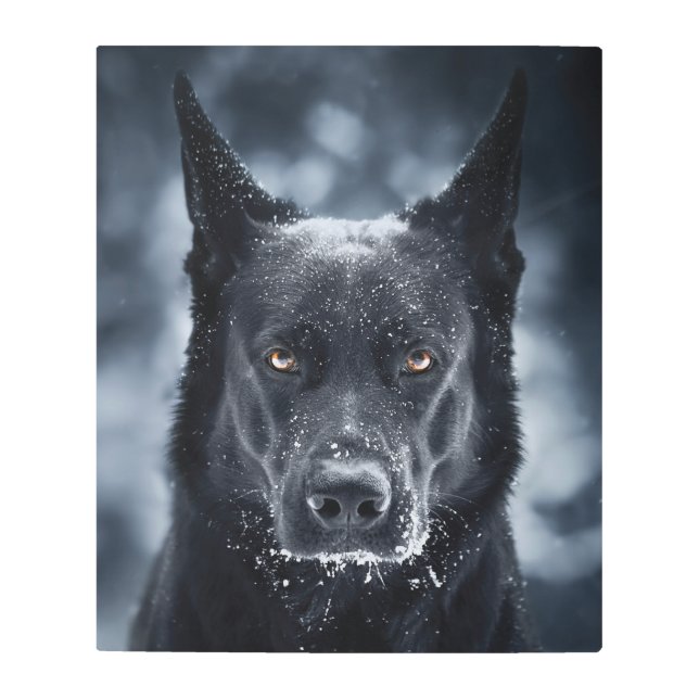 Black German Shepherd Metal Print (Front)