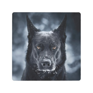 Black German Shepherd Metal Print