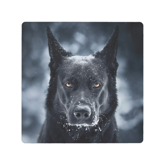 Black German Shepherd Metal Print (Front)