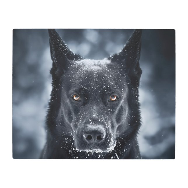 Black German Shepherd Metal Print (Front)