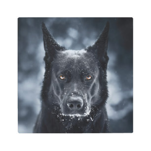 Black German Shepherd Metal Print