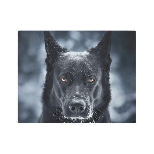 Black German Shepherd Metal Print