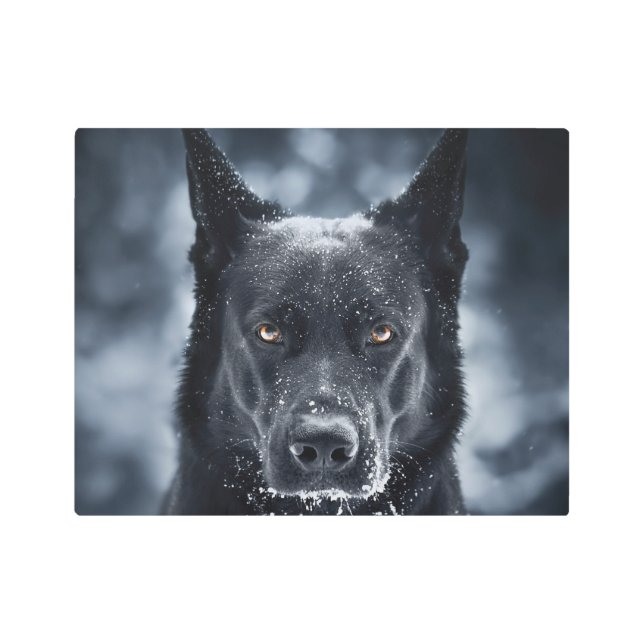 Black German Shepherd Metal Print (Front)
