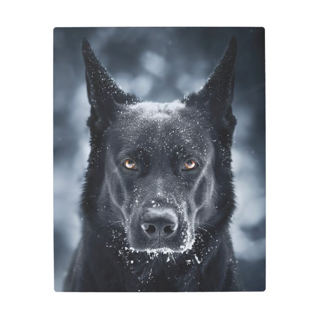 Black German Shepherd Metal Print (Front)