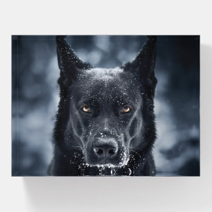 Black German Shepherd Paperweight