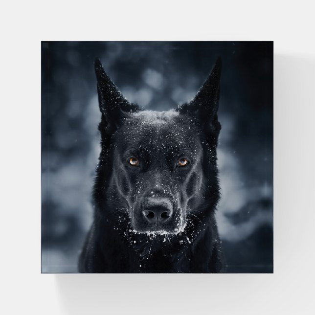Black German Shepherd Paperweight (Front)